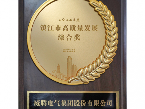 喜讯│BBIN宝盈集团荣获2024年度镇江市高质量生长综合奖